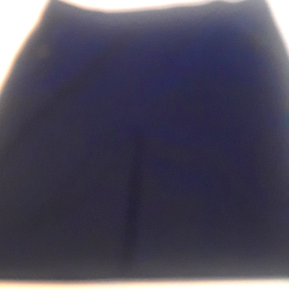 Jones New York skirt